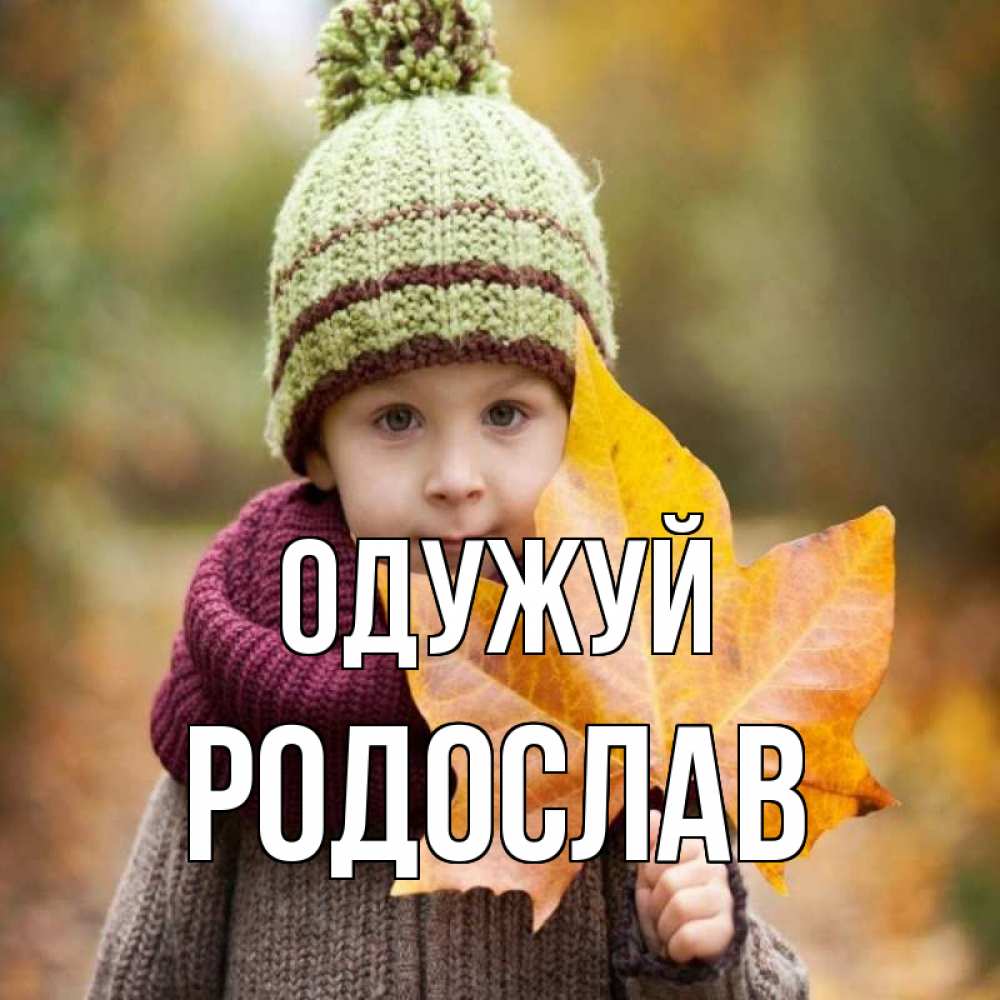 Открытка на каждый день з підписом, Родослав Одужуй дышим свежим воздухом Прикольна листівка з побажанням онлайн скачати безкоштовно 