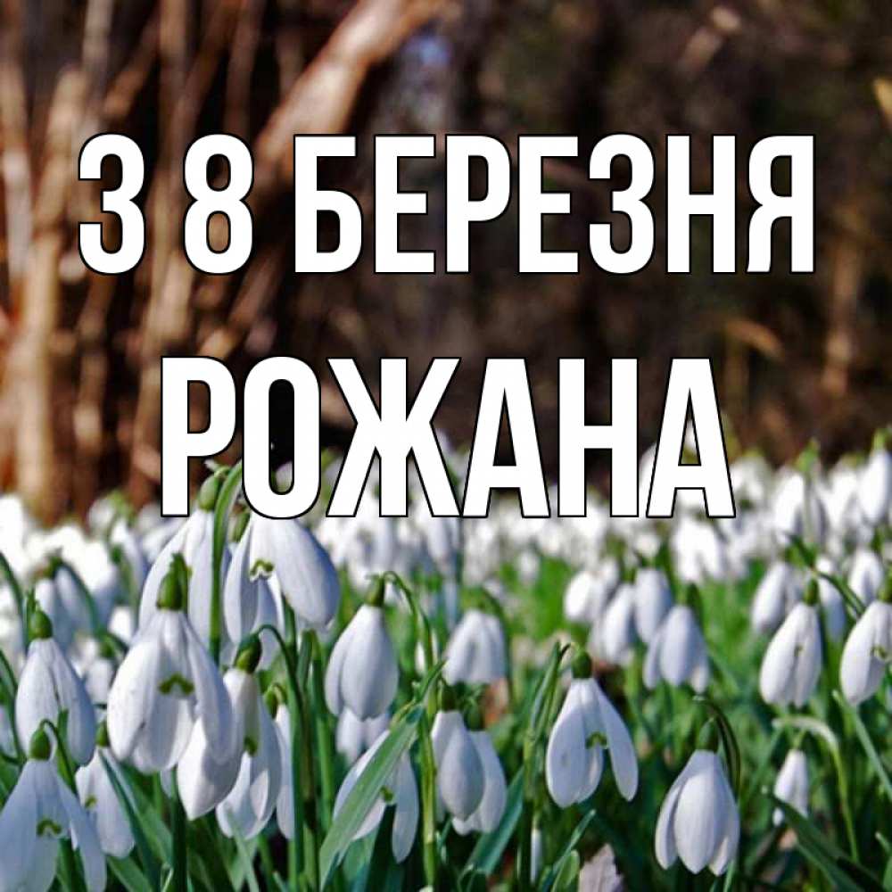 Открытка на каждый день з підписом, Рожана З 8 БЕРЕЗНЯ с подснежниками 1 Прикольна листівка з побажанням онлайн скачати безкоштовно 
