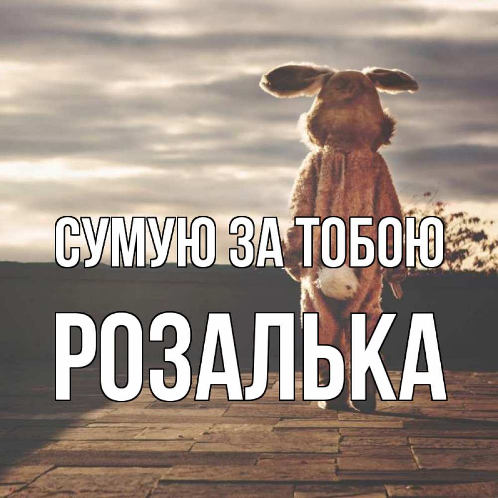 Открытка на каждый день з підписом, Розалька Сумую за тобою даже в костюме зайца Прикольна листівка з побажанням онлайн скачати безкоштовно 