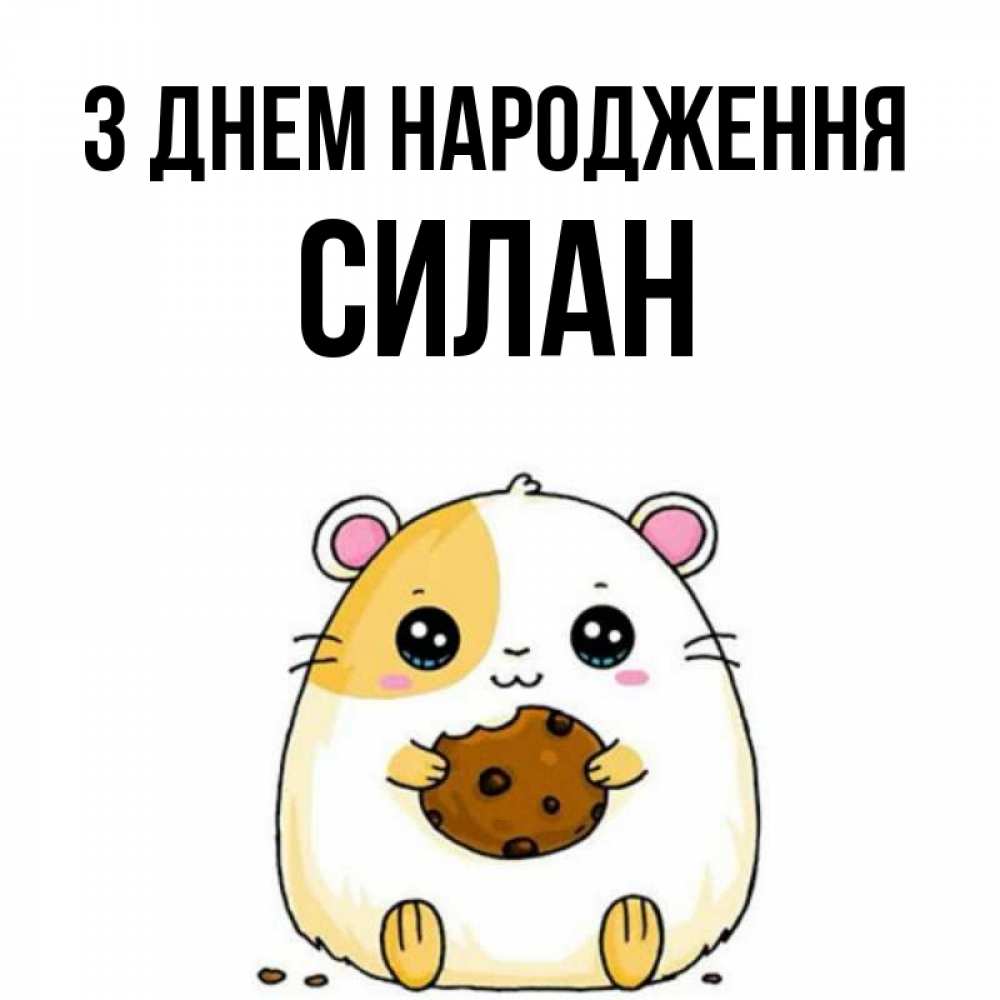 Открытка на каждый день з підписом, Силан З Днем народження с днюхой Прикольна листівка з побажанням онлайн скачати безкоштовно 