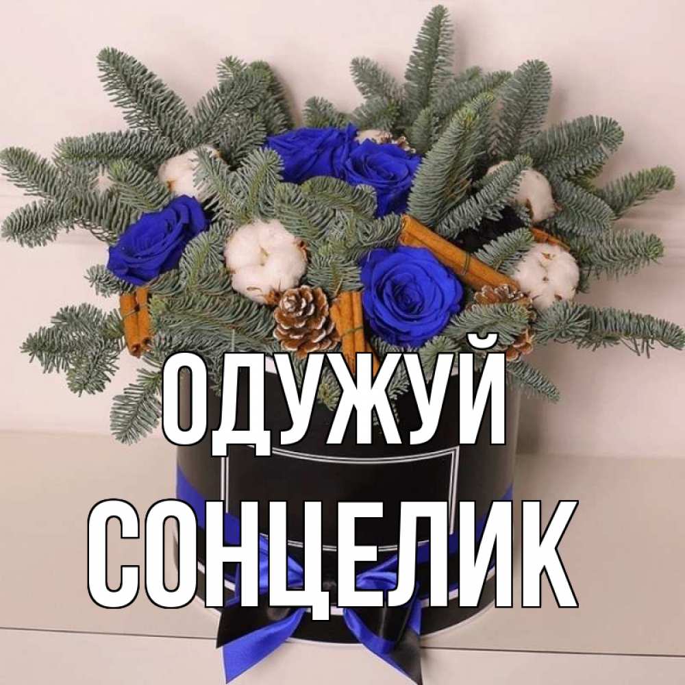 Открытка на каждый день з підписом, Сонцелик Одужуй короче кто то загрузил эти шишки Прикольна листівка з побажанням онлайн скачати безкоштовно 