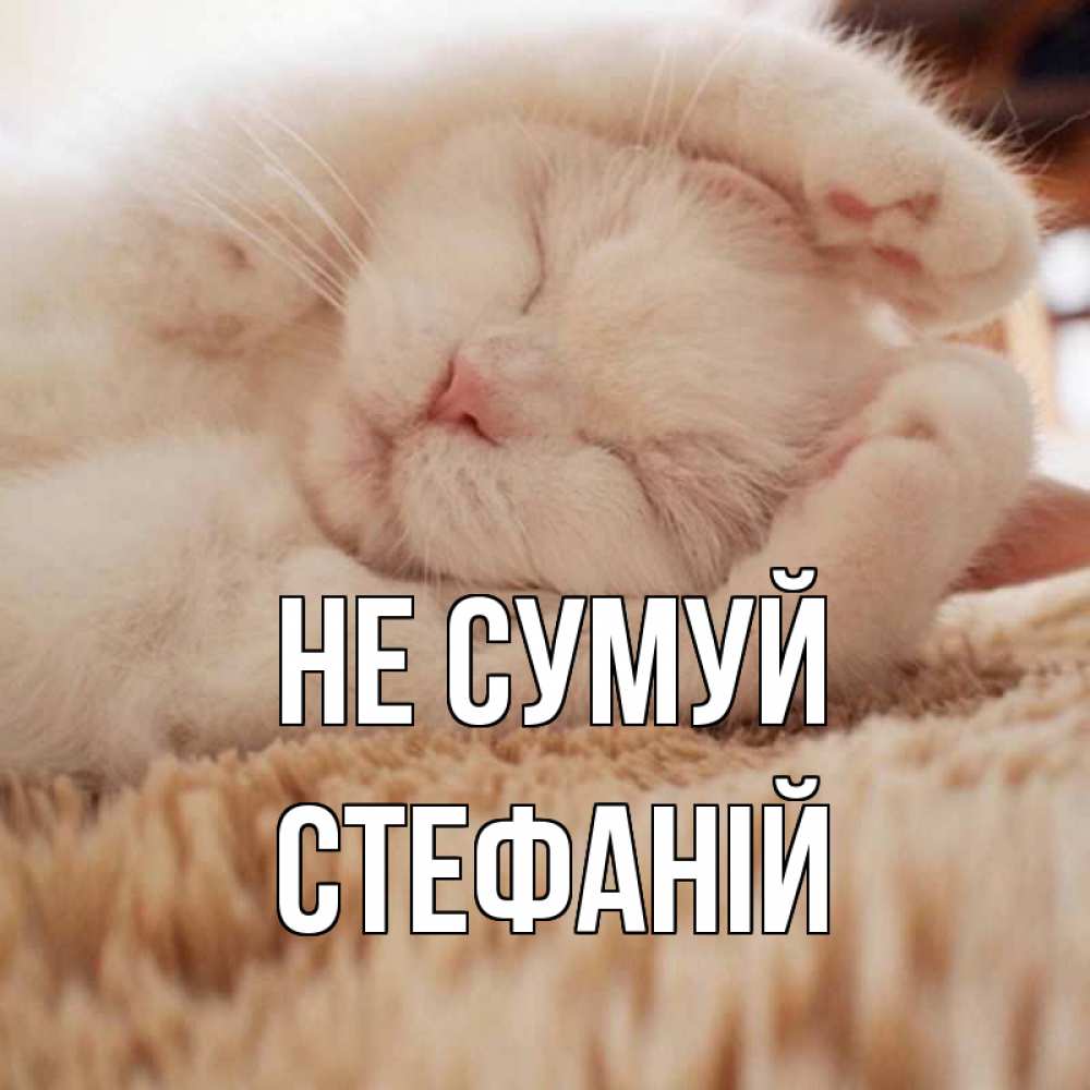 Открытка на каждый день з підписом, Стефаній Не сумуй белый кот Прикольна листівка з побажанням онлайн скачати безкоштовно 