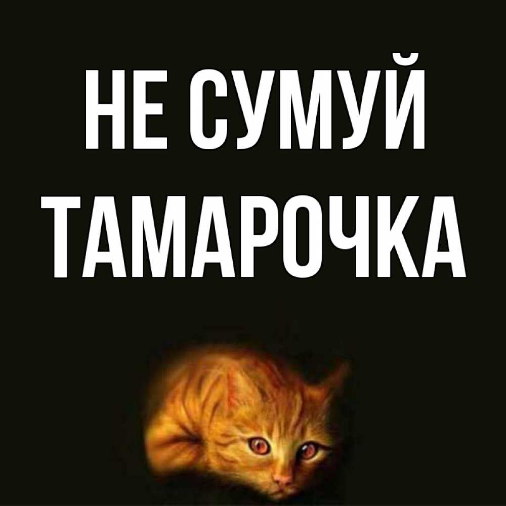 Открытка на каждый день з підписом, Тамарочка Не сумуй лежащий кот в темноте Прикольна листівка з побажанням онлайн скачати безкоштовно 
