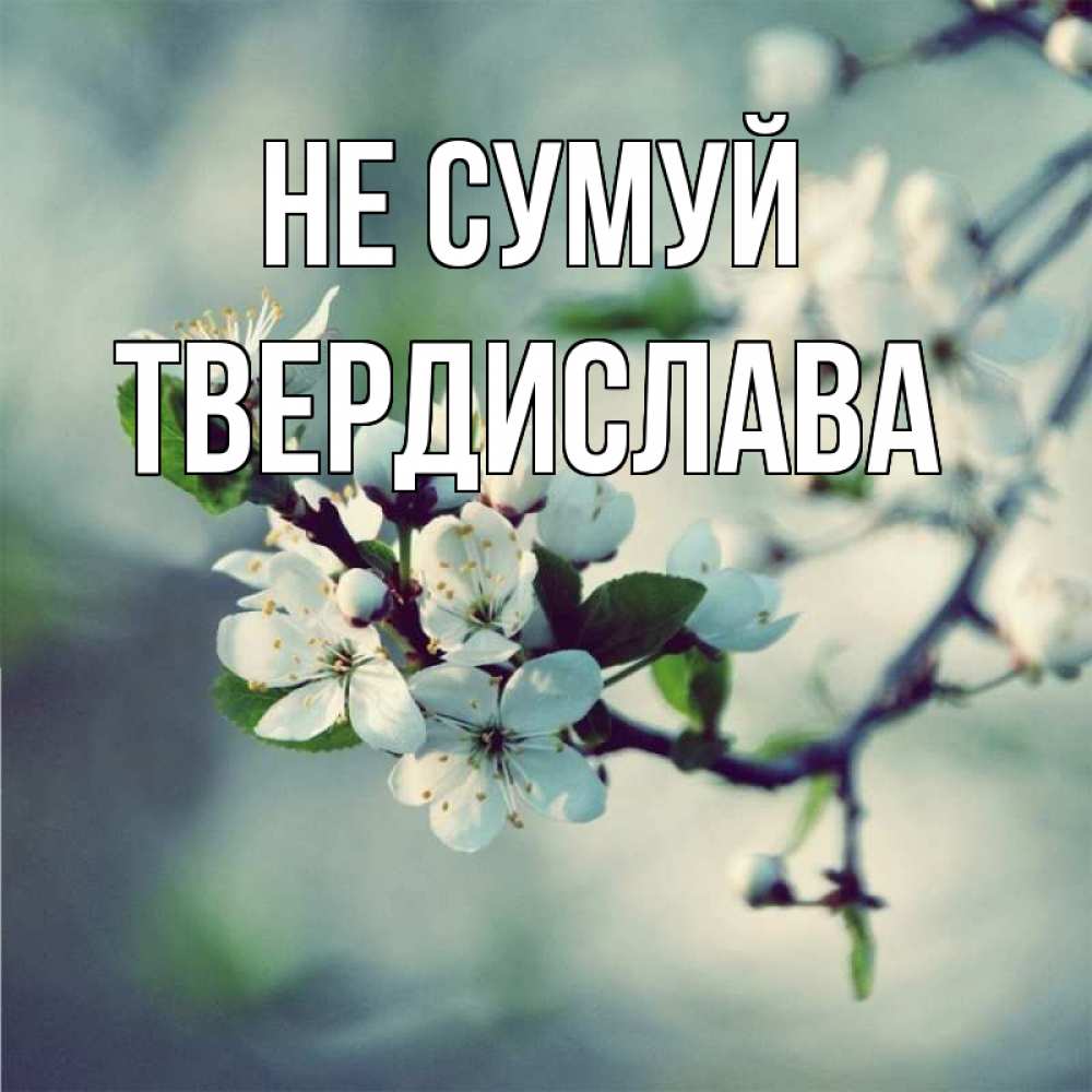 Открытка на каждый день з підписом, Твердислава Не сумуй яблоня в цвету 1 Прикольна листівка з побажанням онлайн скачати безкоштовно 