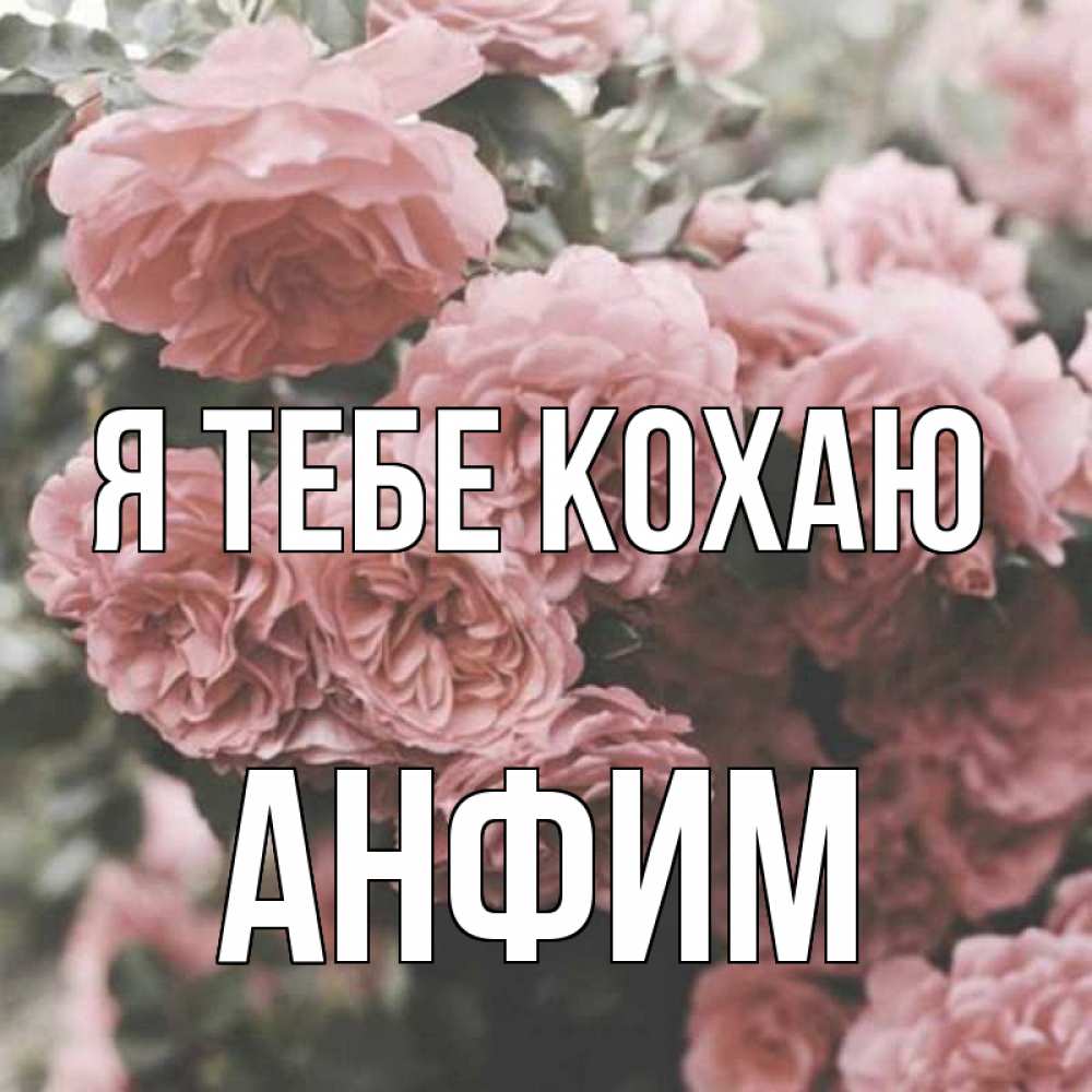 Открытка на каждый день з підписом, Анфим Я тебе кохаю розы 3 Прикольна листівка з побажанням онлайн скачати безкоштовно 