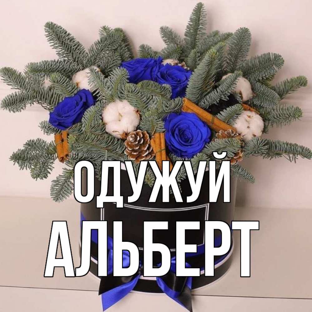 Открытка на каждый день з підписом, Альберт Одужуй короче кто то загрузил эти шишки Прикольна листівка з побажанням онлайн скачати безкоштовно 