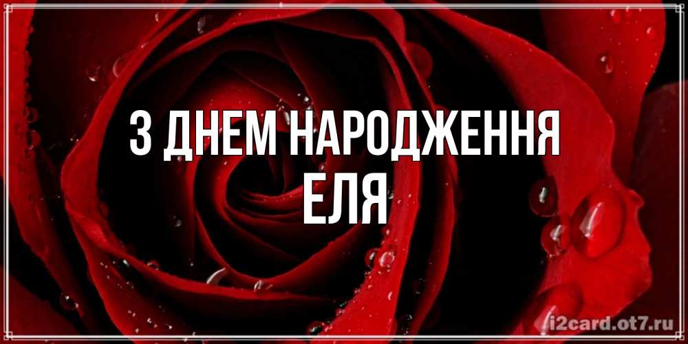 Открытка на каждый день з підписом, Еля З Днем народження крупная бордовая роза Прикольна листівка з побажанням онлайн скачати безкоштовно 