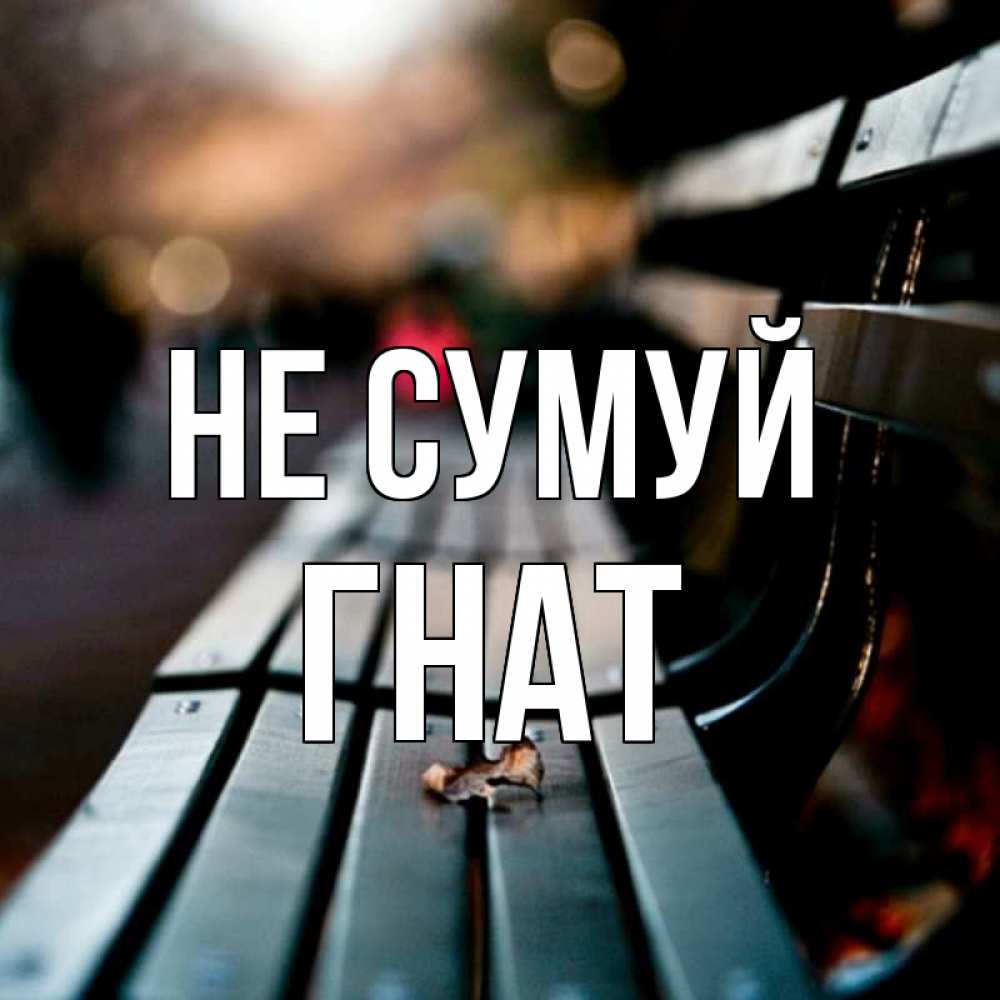 Открытка на каждый день з підписом, Гнат Не сумуй размытый фон Прикольна листівка з побажанням онлайн скачати безкоштовно 