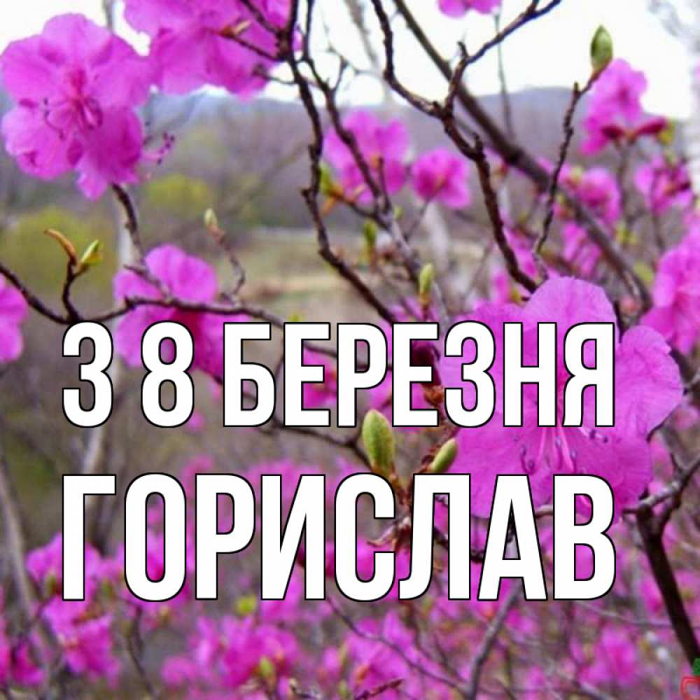 Открытка на каждый день з підписом, Горислав З 8 БЕРЕЗНЯ международный женский день Прикольна листівка з побажанням онлайн скачати безкоштовно 