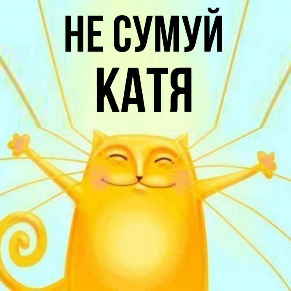 Открытка на каждый день з підписом, Катя Не сумуй обнимашки усатые Прикольна листівка з побажанням онлайн скачати безкоштовно 