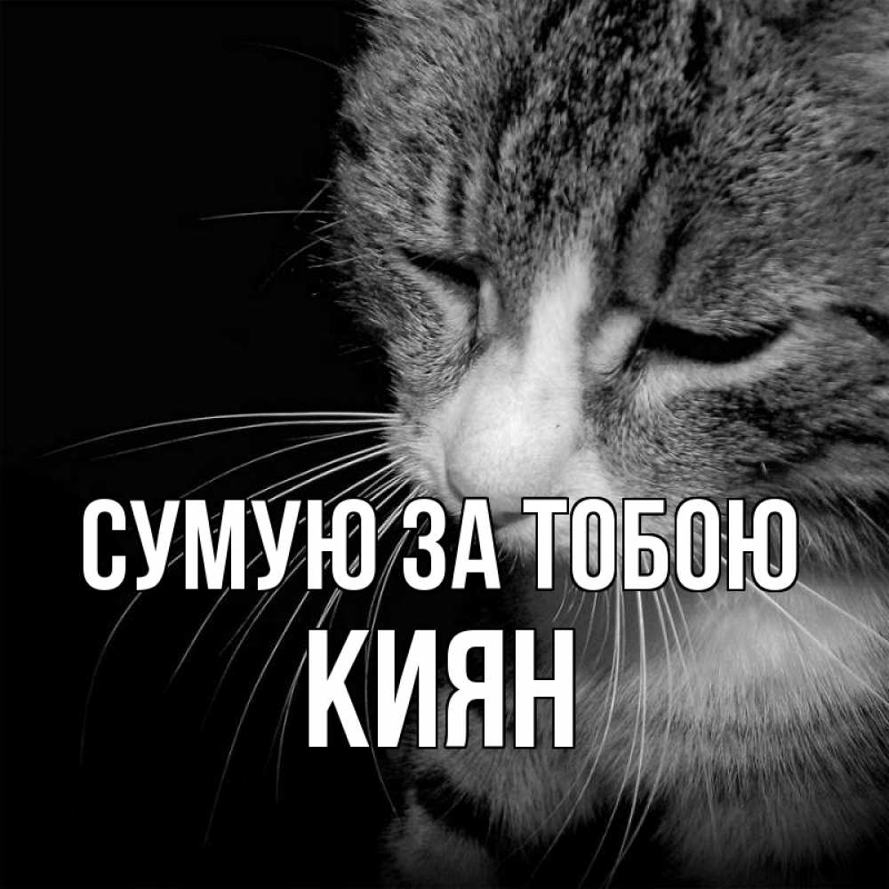 Открытка на каждый день з підписом, Киян Сумую за тобою мне скучно Прикольна листівка з побажанням онлайн скачати безкоштовно 