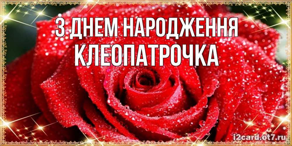 Открытка на каждый день з підписом, Клеопатрочка З Днем народження роса и роза. открытка с красивой розой Прикольна листівка з побажанням онлайн скачати безкоштовно 