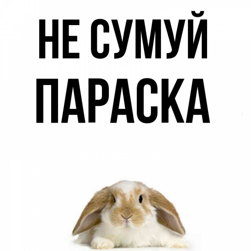 Открытка на каждый день з підписом, Параска Не сумуй коричнево белый заяц с большими ушками Прикольна листівка з побажанням онлайн скачати безкоштовно 