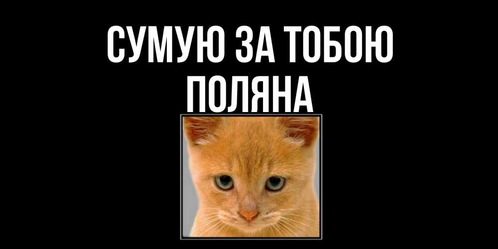 Открытка на каждый день з підписом, Поляна Сумую за тобою открытки рыжий котенок скучает по тебе Прикольна листівка з побажанням онлайн скачати безкоштовно 