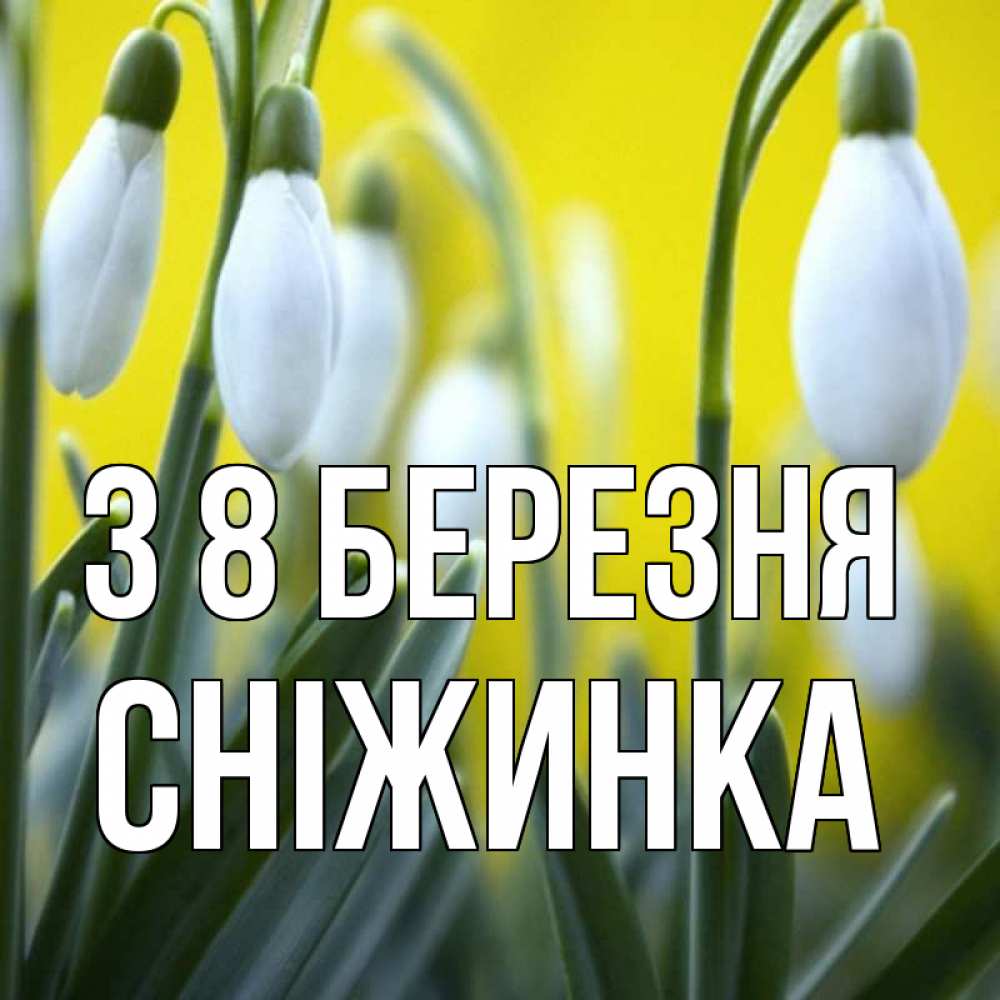 Открытка на каждый день з підписом, Сніжинка З 8 БЕРЕЗНЯ весенние цветы Прикольна листівка з побажанням онлайн скачати безкоштовно 