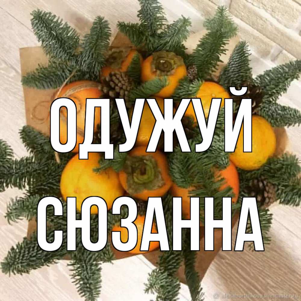 Открытка на каждый день з підписом, Сюзанна Одужуй апельсины и хурьма Прикольна листівка з побажанням онлайн скачати безкоштовно 