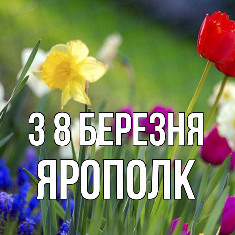 Открытка на каждый день з підписом, Ярополк З 8 БЕРЕЗНЯ международный женский день 3 Прикольна листівка з побажанням онлайн скачати безкоштовно 