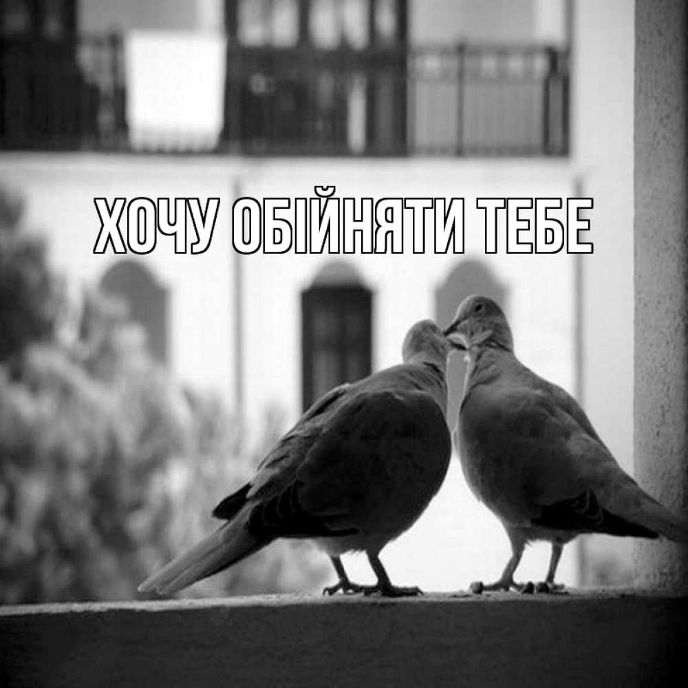 Открытка на каждый день з підписом, выберите-имя Хочу обійняти тебе птицы на подоконнике Прикольна листівка з побажанням онлайн скачати безкоштовно 
