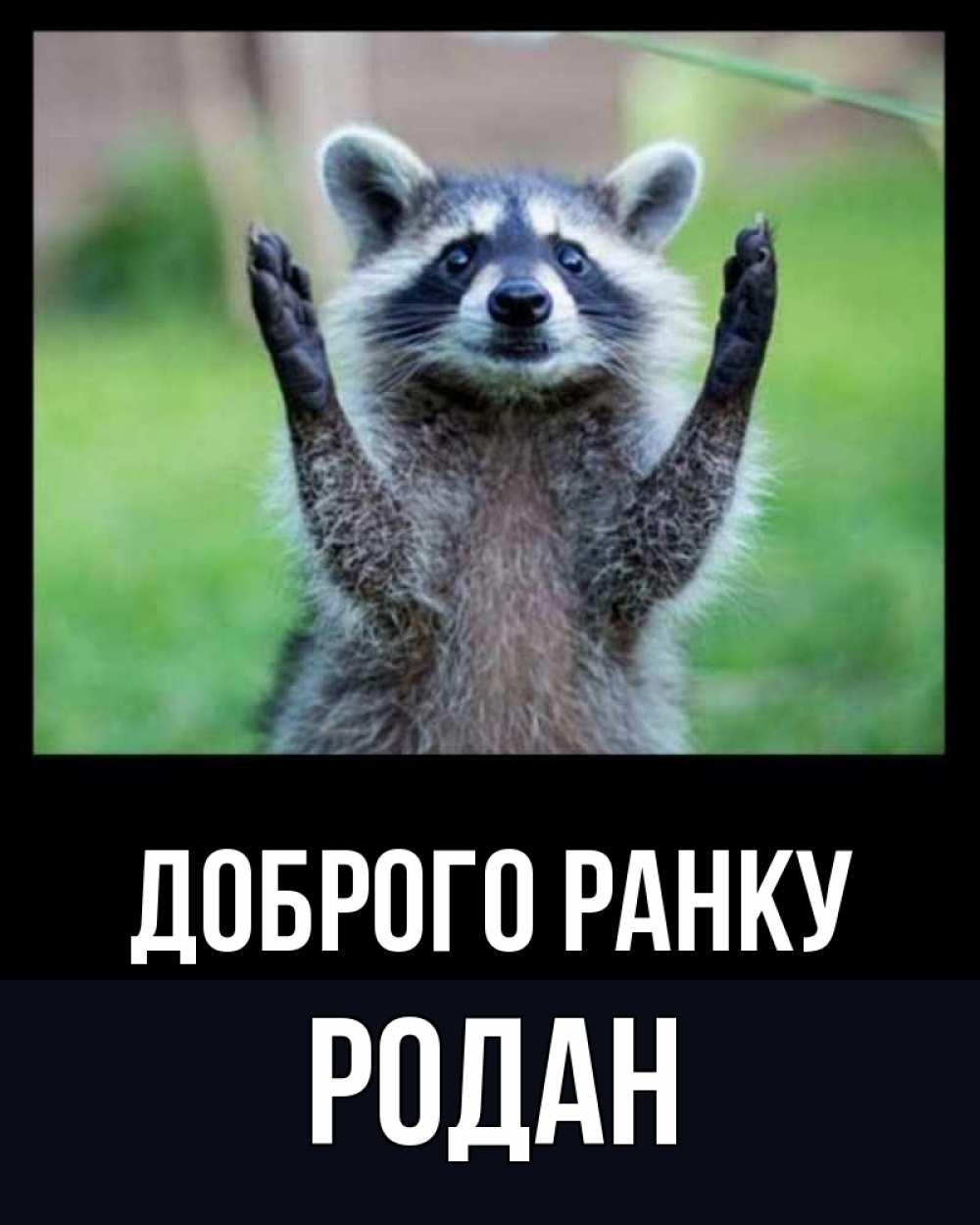 Открытка на каждый день з підписом, Родан Доброго ранку хорошее настроение утречком Прикольна листівка з побажанням онлайн скачати безкоштовно 
