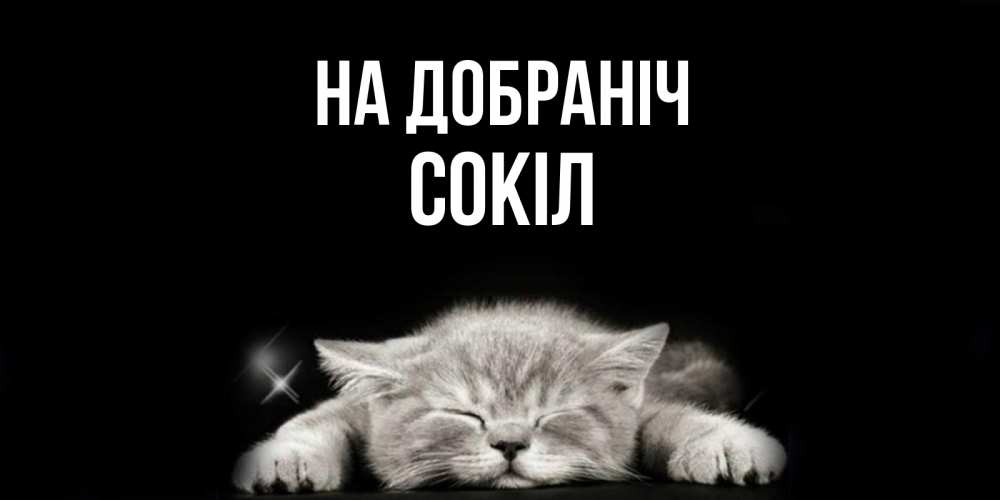 Открытка на каждый день з підписом, Сокіл На добраніч спящий котик Прикольна листівка з побажанням онлайн скачати безкоштовно 