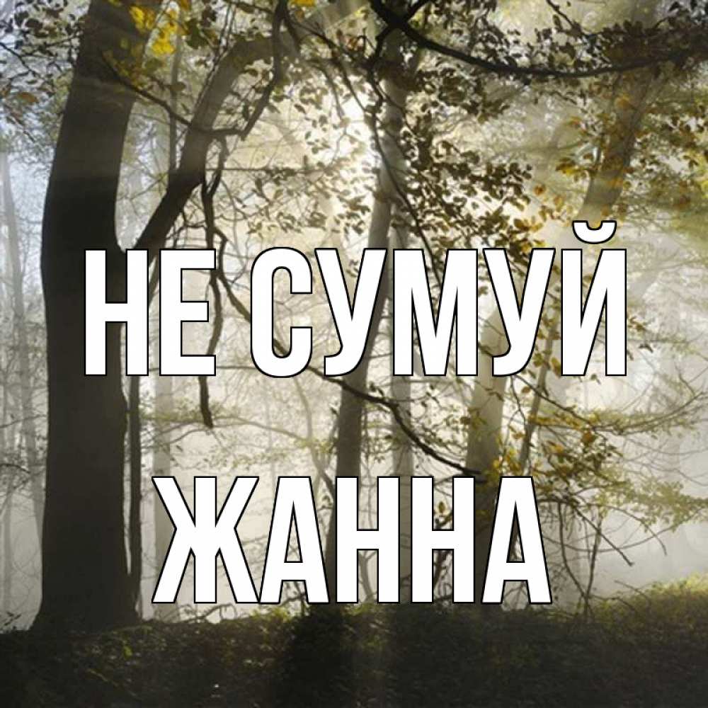 Открытка на каждый день з підписом, Жанна Не сумуй лес и свет Прикольна листівка з побажанням онлайн скачати безкоштовно 