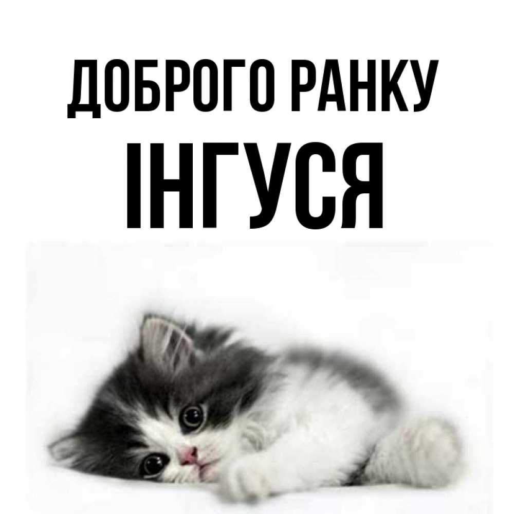 Открытка на каждый день з підписом, Інгуся Доброго ранку кот лапки Прикольна листівка з побажанням онлайн скачати безкоштовно 