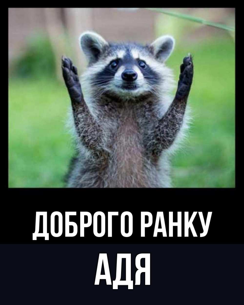 Открытка на каждый день з підписом, Адя Доброго ранку хорошее настроение утречком Прикольна листівка з побажанням онлайн скачати безкоштовно 