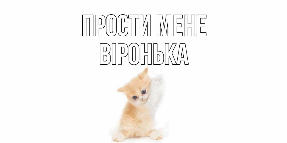 Открытка на каждый день з підписом, Віронька Прости мене кот Прикольна листівка з побажанням онлайн скачати безкоштовно 