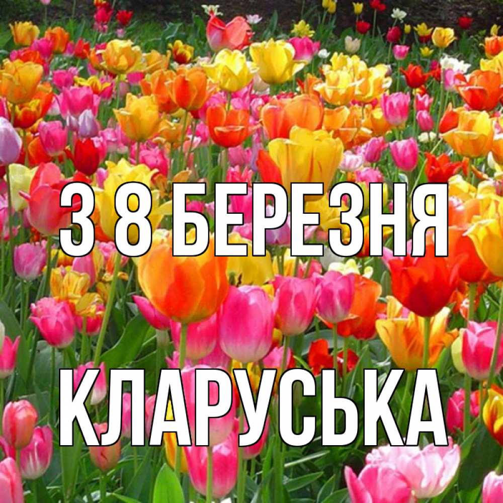 Открытка на каждый день з підписом, Кларуська З 8 БЕРЕЗНЯ на международный женский день Прикольна листівка з побажанням онлайн скачати безкоштовно 