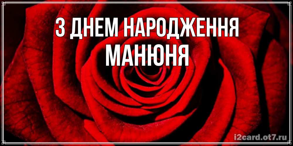 Открытка на каждый день з підписом, Манюня З Днем народження алая роза Прикольна листівка з побажанням онлайн скачати безкоштовно 