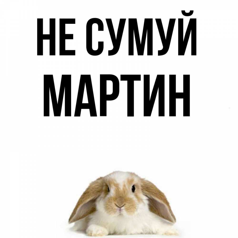 Открытка на каждый день з підписом, Мартин Не сумуй коричнево белый заяц с большими ушками Прикольна листівка з побажанням онлайн скачати безкоштовно 