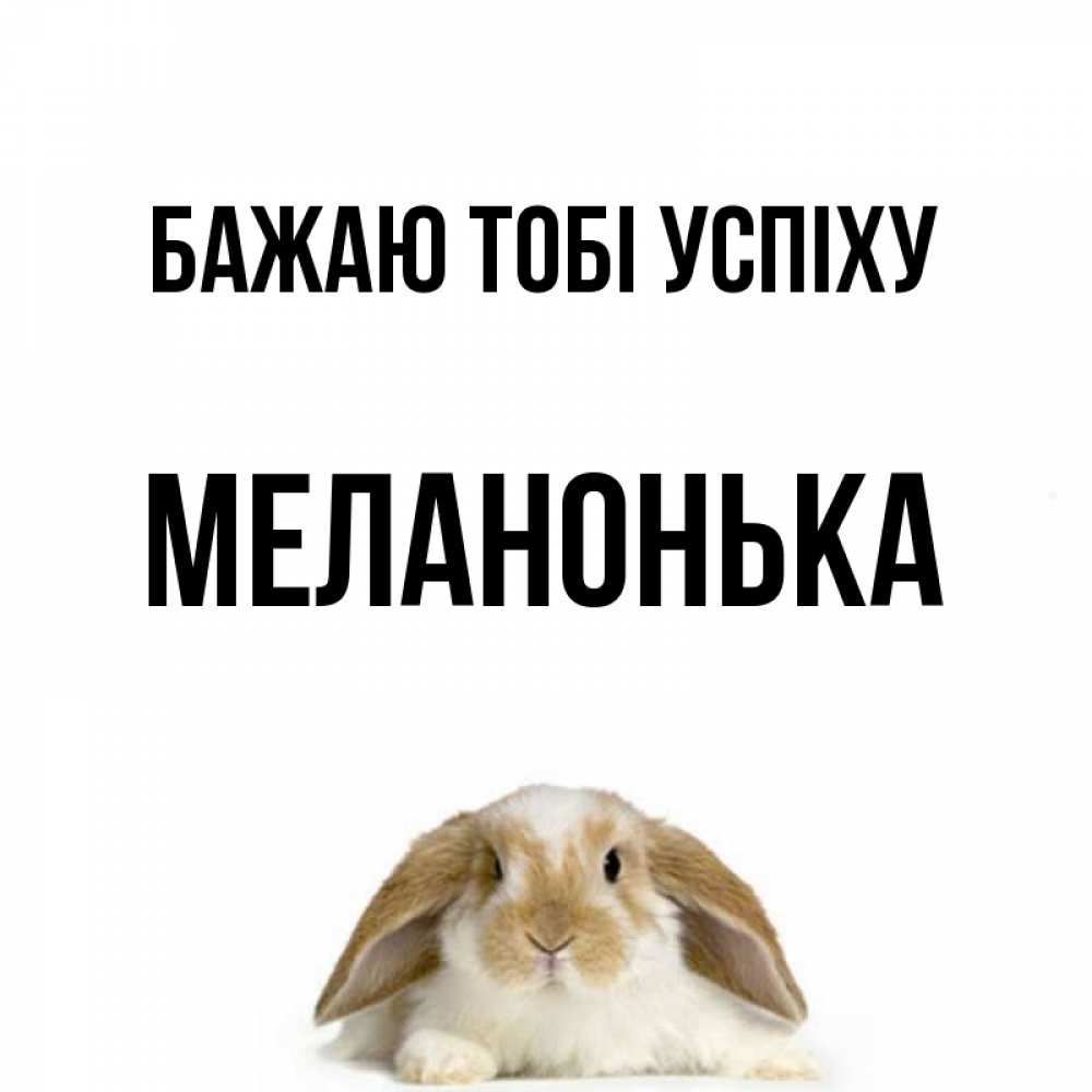 Открытка на каждый день з підписом, Меланонька Бажаю тобі успіху открытки с произвольным текстом который можно вставить в открытку и создать ее самостоятельно бесплатно онлайн Прикольна листівка з побажанням онлайн скачати безкоштовно 