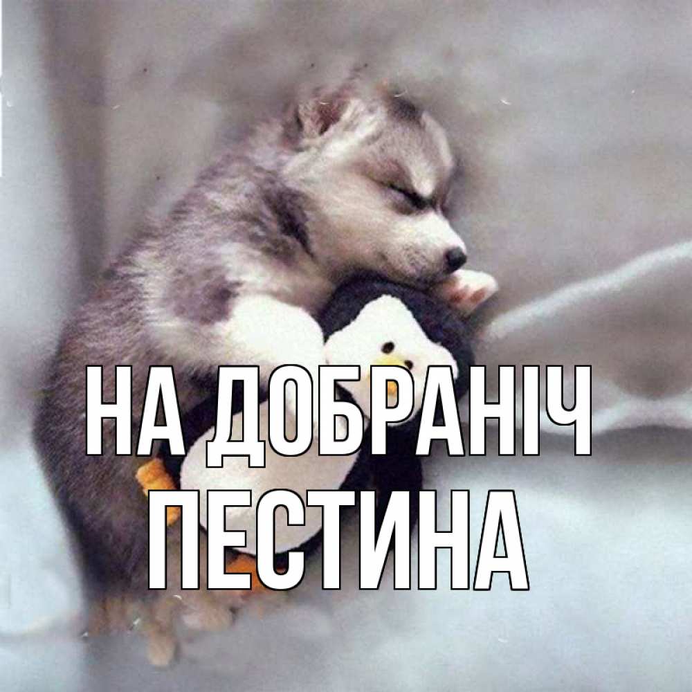 Открытка на каждый день з підписом, Пестина На добраніч обнимашки щенка и пингвина Прикольна листівка з побажанням онлайн скачати безкоштовно 
