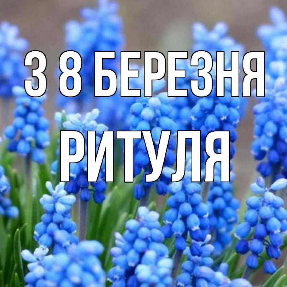 Открытка на каждый день з підписом, Ритуля З 8 БЕРЕЗНЯ Поздравительная открытка для женщин с цветами на праздничную дату Прикольна листівка з побажанням онлайн скачати безкоштовно 