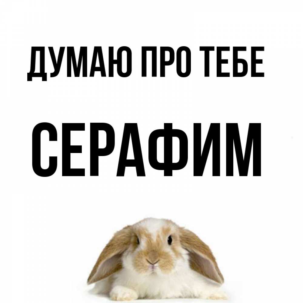 Открытка на каждый день з підписом, Серафим Думаю про тебе подписать своими руками онлайн Прикольна листівка з побажанням онлайн скачати безкоштовно 