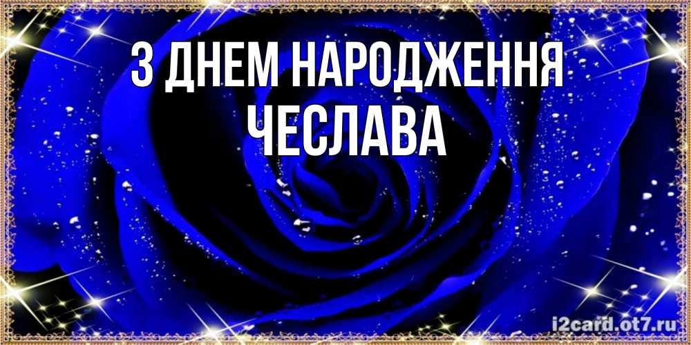 Открытка на каждый день з підписом, Чеслава З Днем народження голубые цветы в росе Прикольна листівка з побажанням онлайн скачати безкоштовно 