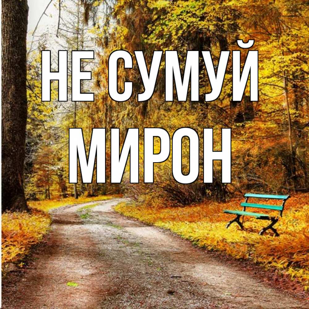 Открытка на каждый день з підписом, Мирон Не сумуй зеленая лавочка Прикольна листівка з побажанням онлайн скачати безкоштовно 