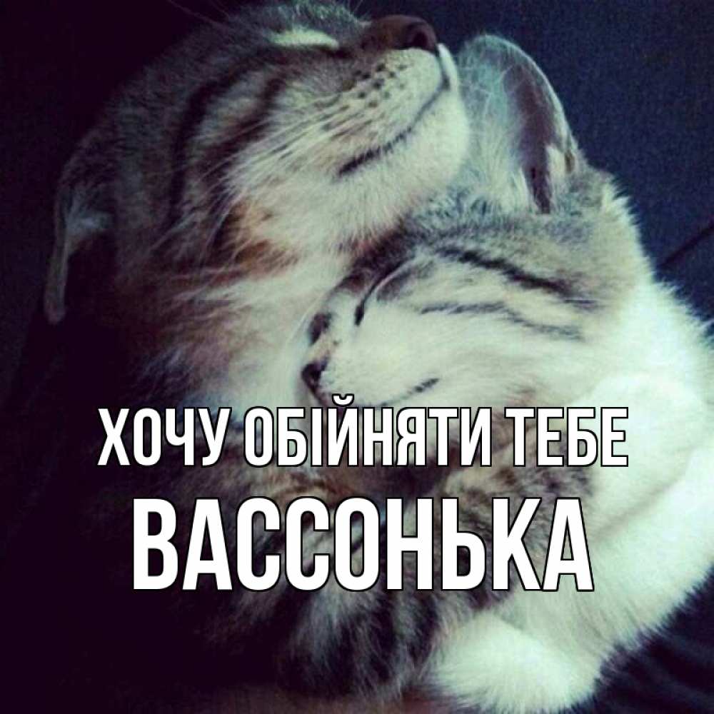 Открытка на каждый день з підписом, Вассонька Хочу обійняти тебе полосатики Прикольна листівка з побажанням онлайн скачати безкоштовно 