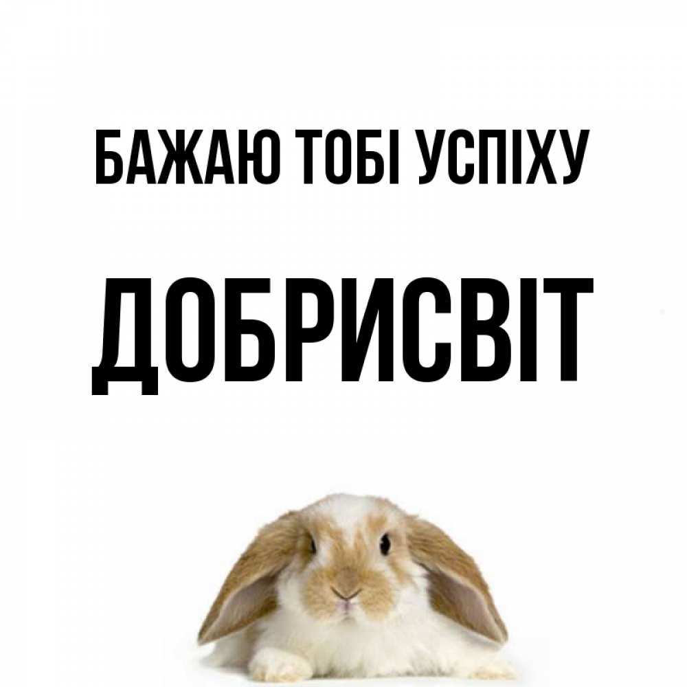 Открытка на каждый день з підписом, Добрисвіт Бажаю тобі успіху открытки с произвольным текстом который можно вставить в открытку и создать ее самостоятельно бесплатно онлайн Прикольна листівка з побажанням онлайн скачати безкоштовно 