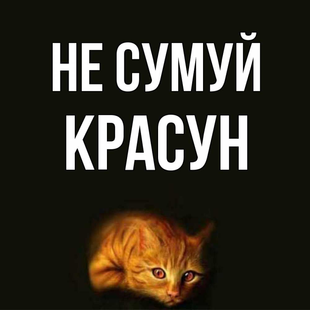 Открытка на каждый день з підписом, Красун Не сумуй лежащий кот в темноте Прикольна листівка з побажанням онлайн скачати безкоштовно 