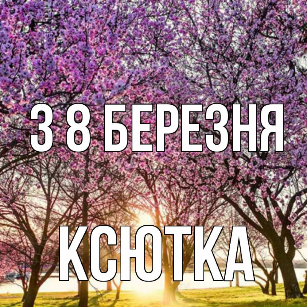 Открытка на каждый день з підписом, Ксютка З 8 БЕРЕЗНЯ международный женский день Прикольна листівка з побажанням онлайн скачати безкоштовно 