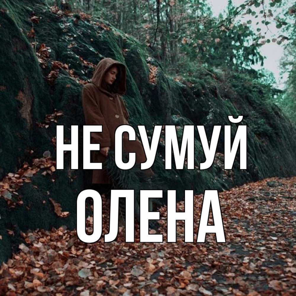 Открытка на каждый день з підписом, Олена Не сумуй осенний лес Прикольна листівка з побажанням онлайн скачати безкоштовно 