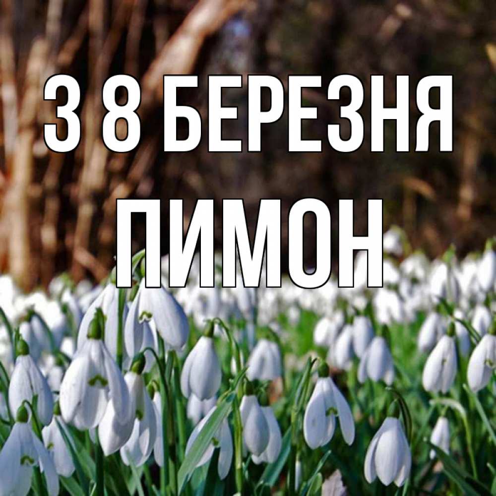 Открытка на каждый день з підписом, Пимон З 8 БЕРЕЗНЯ с подснежниками 1 Прикольна листівка з побажанням онлайн скачати безкоштовно 