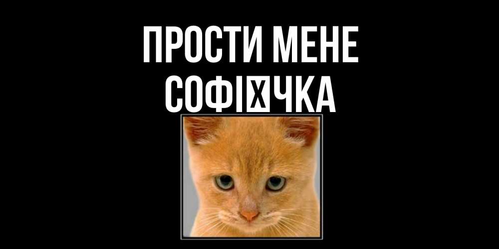 Открытка на каждый день з підписом, Софієчка Прости мене рыжий грустный кот просит прощения Прикольна листівка з побажанням онлайн скачати безкоштовно 