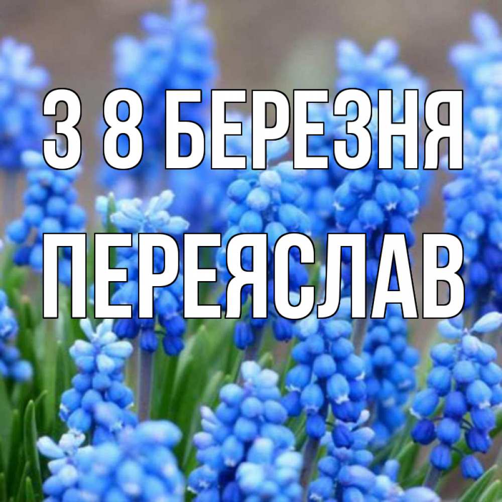 Открытка на каждый день з підписом, Переяслав З 8 БЕРЕЗНЯ Поздравительная открытка для женщин с цветами на праздничную дату Прикольна листівка з побажанням онлайн скачати безкоштовно 