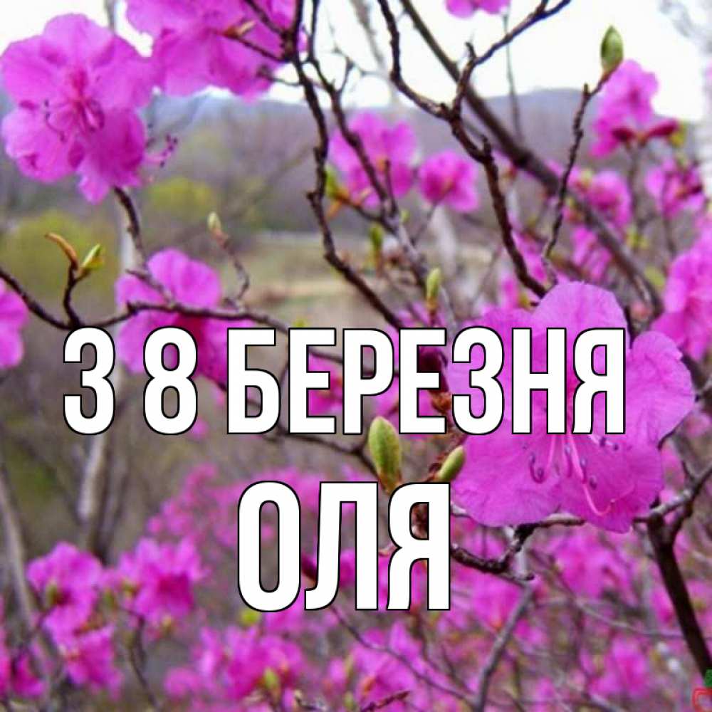 Открытка на каждый день з підписом, Оля З 8 БЕРЕЗНЯ международный женский день Прикольна листівка з побажанням онлайн скачати безкоштовно 