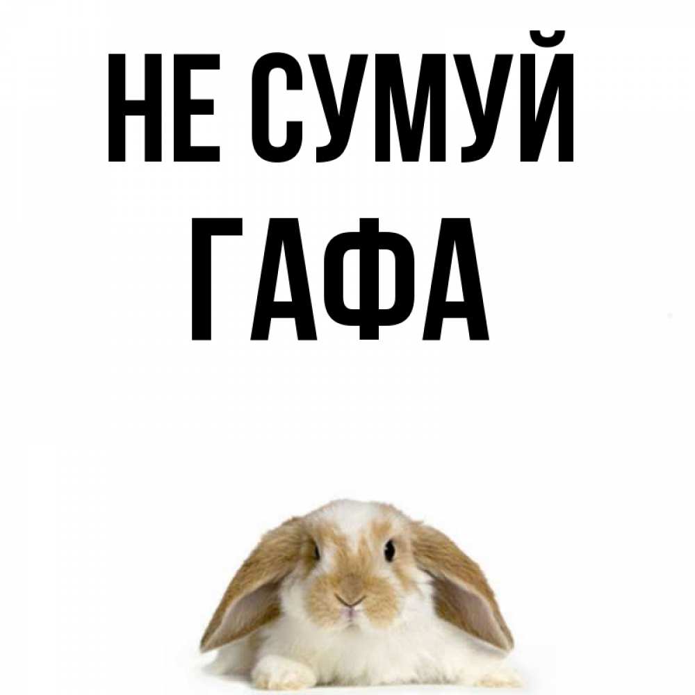 Открытка на каждый день з підписом, Гафа Не сумуй коричнево белый заяц с большими ушками Прикольна листівка з побажанням онлайн скачати безкоштовно 