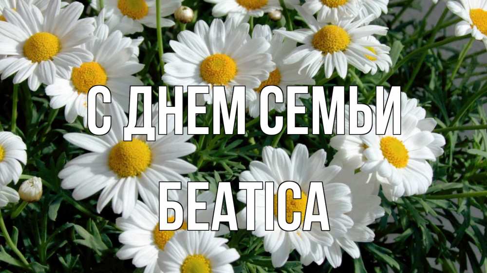 Открытка на каждый день з підписом, Беатіса С днем семьи с днем семьи Прикольна листівка з побажанням онлайн скачати безкоштовно 