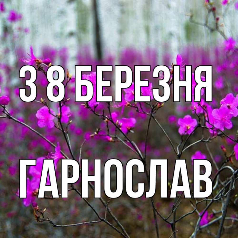 Открытка на каждый день з підписом, Гарнослав З 8 БЕРЕЗНЯ дикие цветы Прикольна листівка з побажанням онлайн скачати безкоштовно 