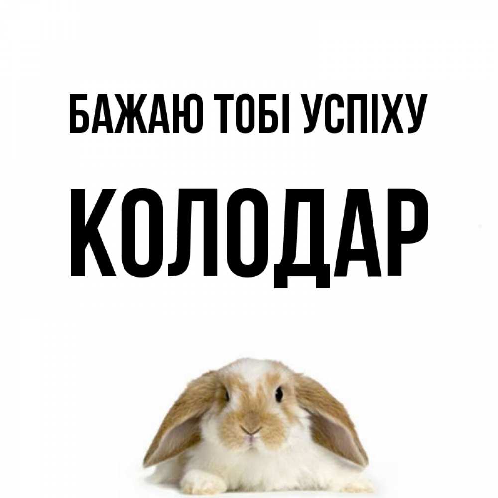 Открытка на каждый день з підписом, Колодар Бажаю тобі успіху открытки с произвольным текстом который можно вставить в открытку и создать ее самостоятельно бесплатно онлайн Прикольна листівка з побажанням онлайн скачати безкоштовно 